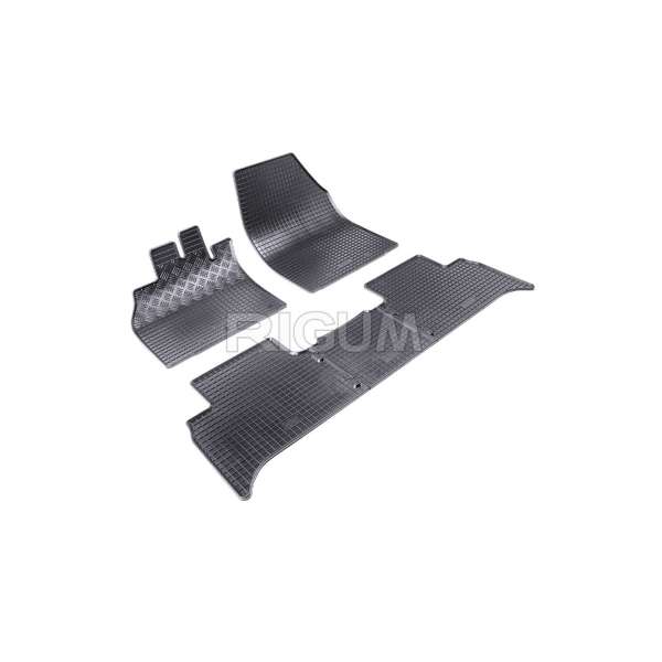 AUTO PATOSNICE GUMENE TIPSKE RENAULT SCENIC (3) 2009-2016 (Rigum)